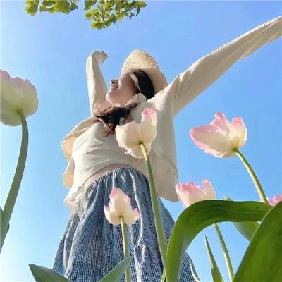 汤姆索亚与哈克贝利芬